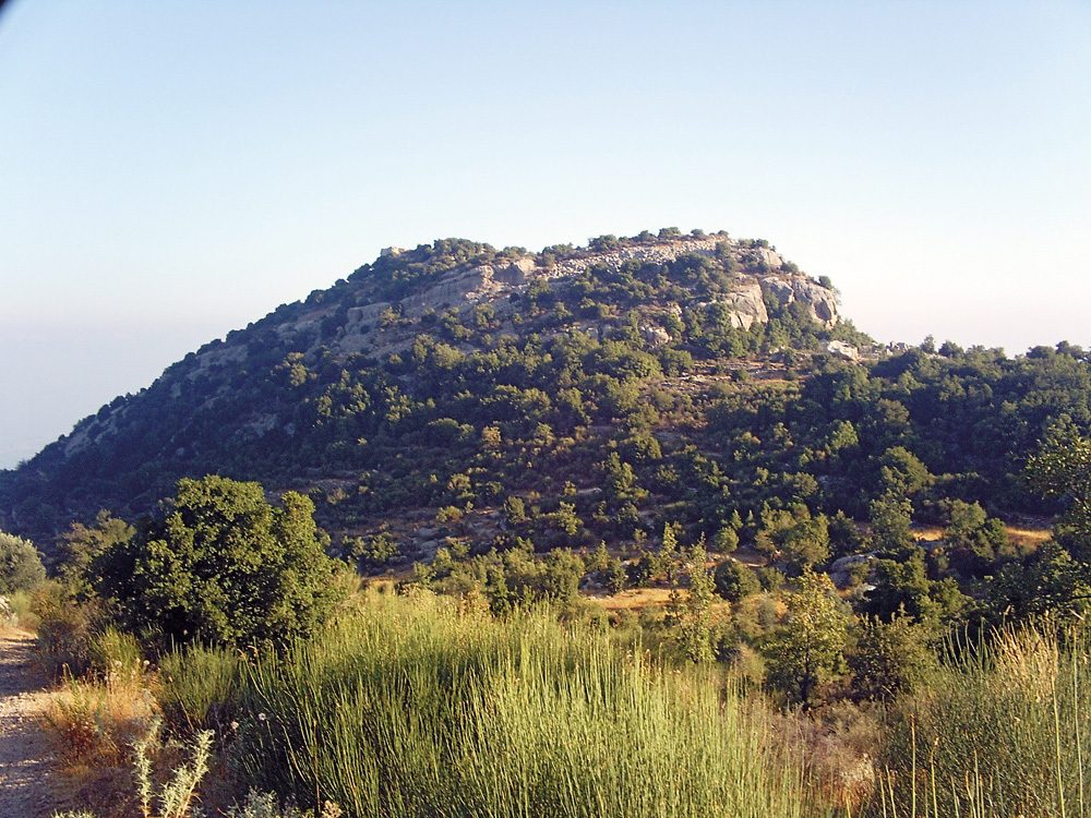 The wooded heights around the village