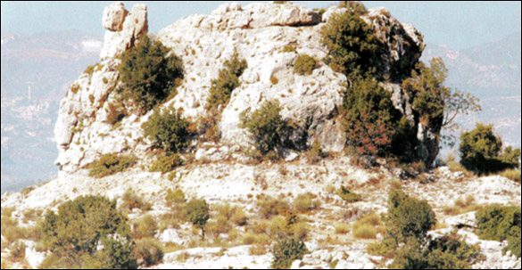 Limestone heights and wild shrubs