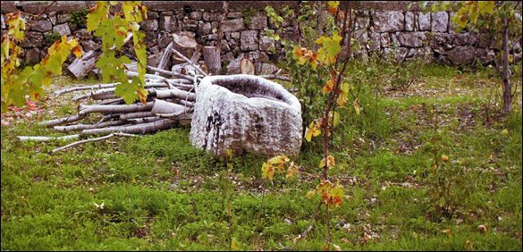 An old stone basin in an autumn garden